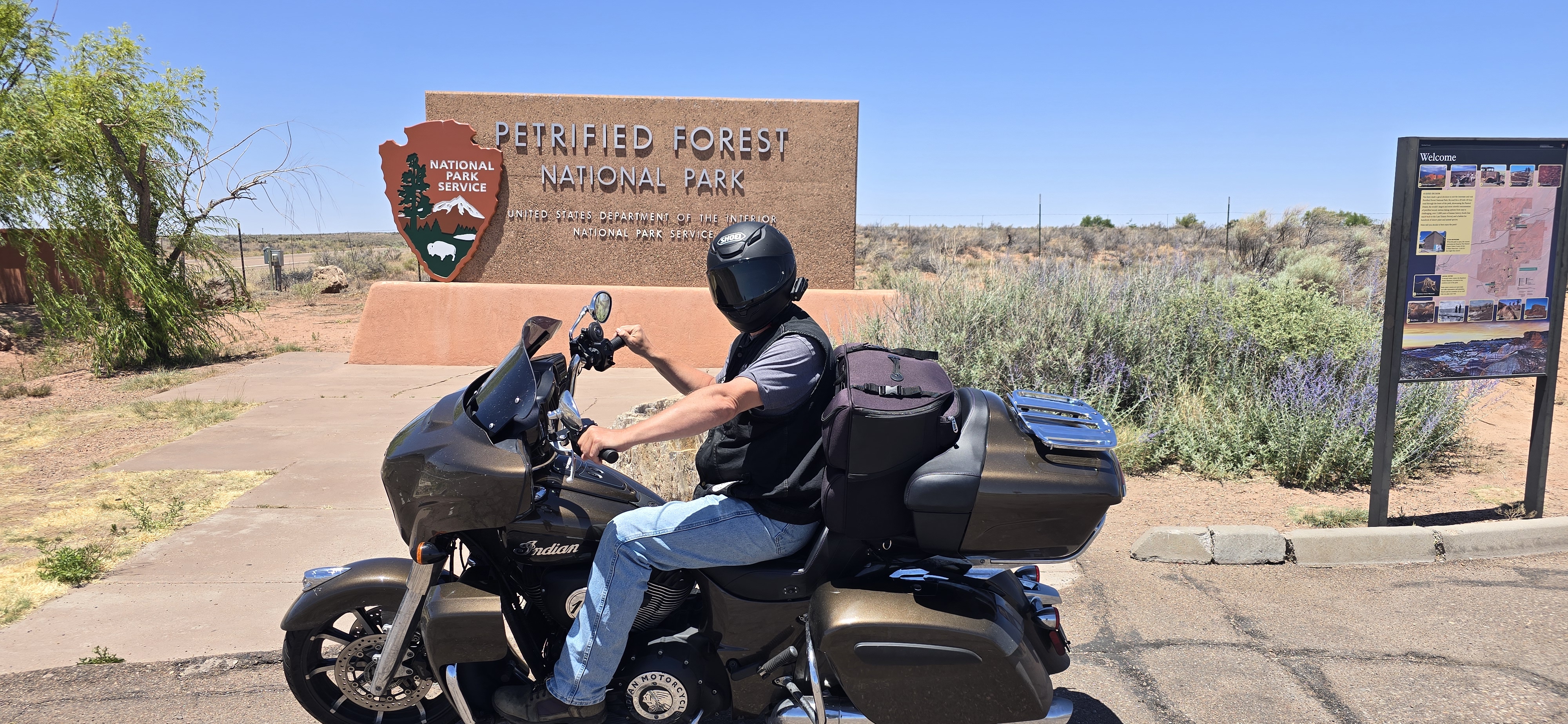 Petrified Forest National Park