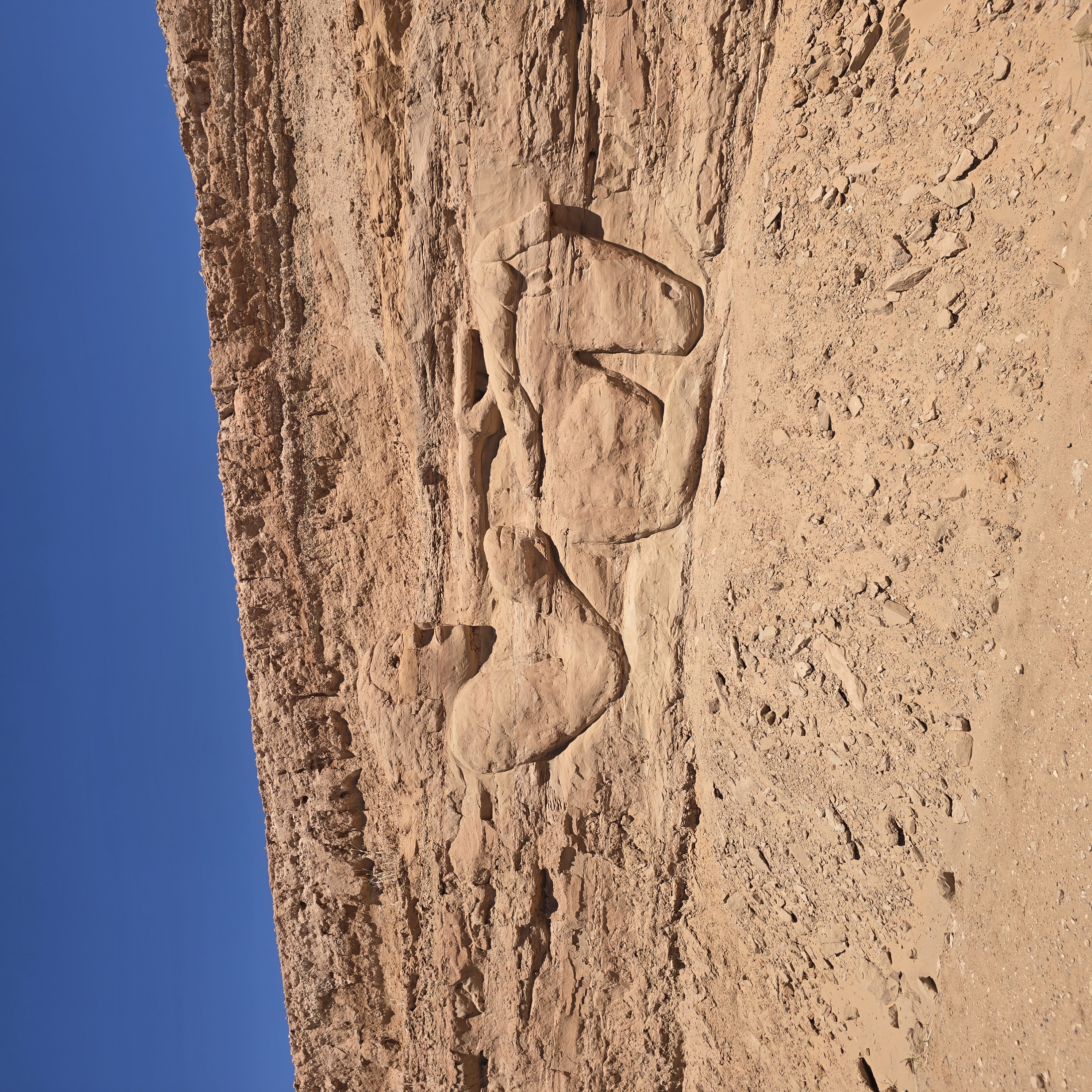 High desert landscape