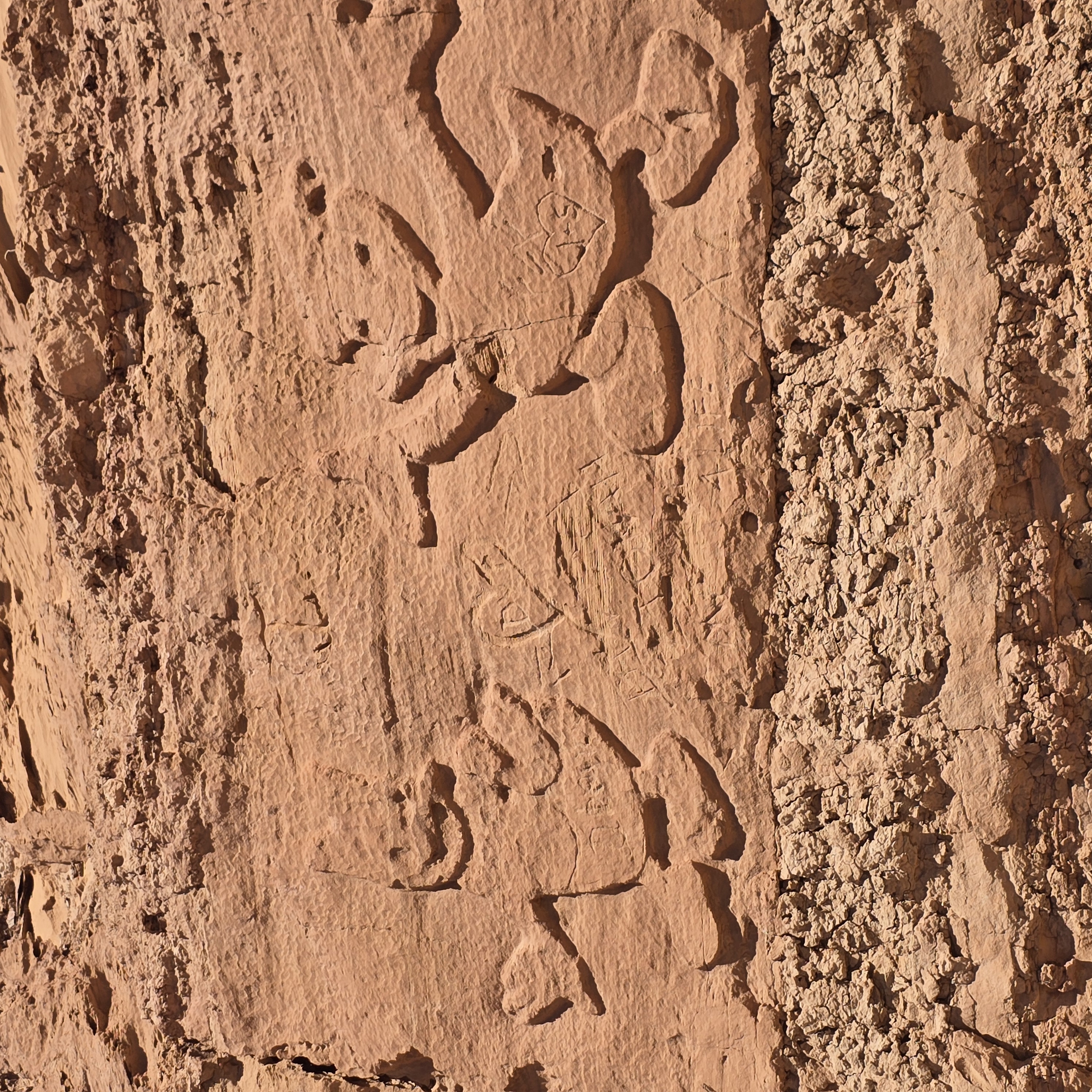 High desert landscape